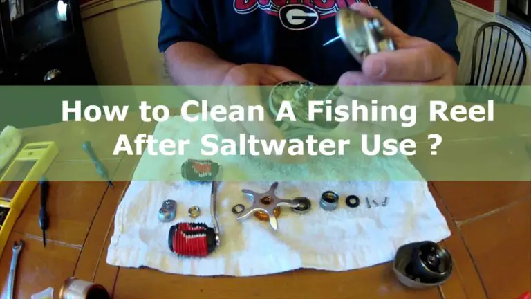 How to Clean A Fishing Reel After Saltwater Use?